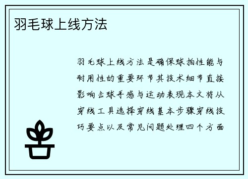 羽毛球上线方法